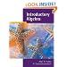 Introductory Algebra, Updated Media Edition (with CD-ROM and MathNOW(TM), Enhanced iLrn(TM) Math Tutorial, Student Resoure Center Printed Access Card)