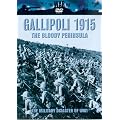The War File - Gallipoli 1915: the Bloody Peninsula [DVD]