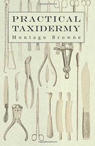 Practical Taxidermy - A Manual of Instruction to the Amateur in Collecting, Preserving, and Setting up Natural History Specimens of All Kinds. To ... Upon the Pictorial Arrangement of Museums, by Montagu Browne