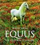 Equus: The Creation of a Horse (Evergreens)