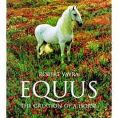 Equus: The Creation of a Horse (Evergreen Series)