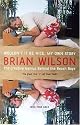 Wouldn't It Be Nice: My Own Story