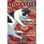 A Cat's Life: Dulcy's Story