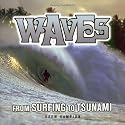 Waves: From Surfing to Tsunami
