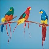 12" Parrot Decoration