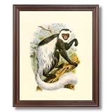 Tropical White Tree Monkey Animal Wildlife Home Decor Wall Picture Cherry Framed Art Print