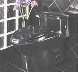 Toilet One Piece Elongated by Toto - MS904114 in Ebony