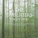 Foggy Dew