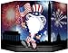 Patriotic Photo Prop Party Accessory