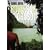 Robinson Crusoe: Classic Collection (Classic Collection (Blackstone Audio))
