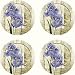 Set of 4 Absorbent Coasters - Iris in Bloom