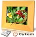 Cytem VX8-pro Holz Hell, Digitaler Bilderrahmen 20,3 cm (8 Zoll) (800x600 / 4:3), 512MB interner Speicher, automatischer Bildrotation, Multi-Timer, spielt Xvid-Video und MP3 / Echtholzrahmen