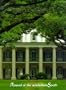The Distant Lands: A Novel of the Antebellum South