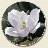 AutoCoaster ~ Magnolia on Green ~ Tile Drink Coaster for car cupholder ~ code 765