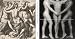 Robert Mapplethorpe �Robert Mapplethorpe und die klassische Tradition�