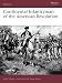 Continental Infantryman of the American Revolution (Warrior)