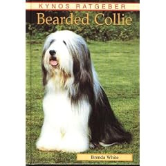 Bearded Collie