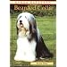 Bearded Collie