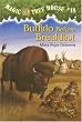 Buffalo Before Breakfast (Magic Tree House #18)