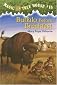 Buffalo Before Breakfast