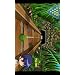 Magic Bowling Lite 51V8MXdZYoL. AA75 Magic Bowling Lite