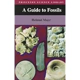 A Guide to Fossils