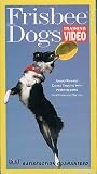 Frisbee Dogs:Training Video