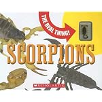 Scorpions (The Real Thing) book cover