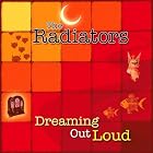 Dreaming Out Loud by  The Radiators 