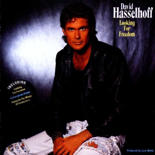 David Hasselhoff Photo 12