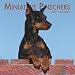 Miniature Pinschers 2007 Calendar