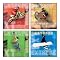 Self-Stick 4-pc. Extreme Sports Wall Art Set