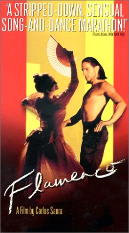 Flamenco by Spanish Language Videos