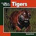 Tigers (Our Wild World)
