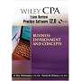 Wiley CPA Examination Review Practice Software 12.0 BEC
