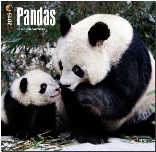 pandas 2015 square 12x12 multilingual edition