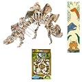 Dinosaur Puzzle Kit & Bookmark Party Bag Fillers