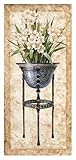 IMAGE OF White Daffodils in an Iron Urn Finest LAMINATED Print Tan Chun 18x38