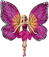 Barbie Mariposa and The Fairy Princess Doll