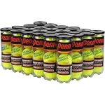 Penn Championship Extra Duty Tennis Balls - 24 Can Case