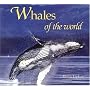 Whales of the World (Worldlife Discovery Guides)