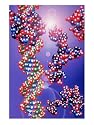Dna Double Helix and Protein Photographic Poster Print by Jacob Halaska, 12x16