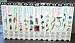Eyewitness Video Collection 13 VHS Videos - Skeleton~Dinosaur~Volcano~Reptile~Planets~Desert