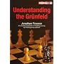Understanding the Grunfeld