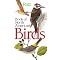 The World is Going to The Birds
