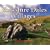 Yorkshire Dales Villages (Village Britain)