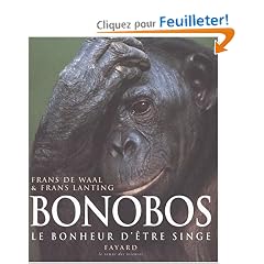 Bonobos, le bonheur d'�tre sin