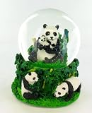 Panda Bear Bamboo Musical Snow Globe Water Ball