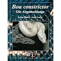 Boa constrictor: Die Abgottschlange