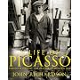 A Life of Picasso: 1907-1917 v. 2